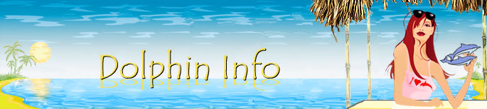 Dolphin Info